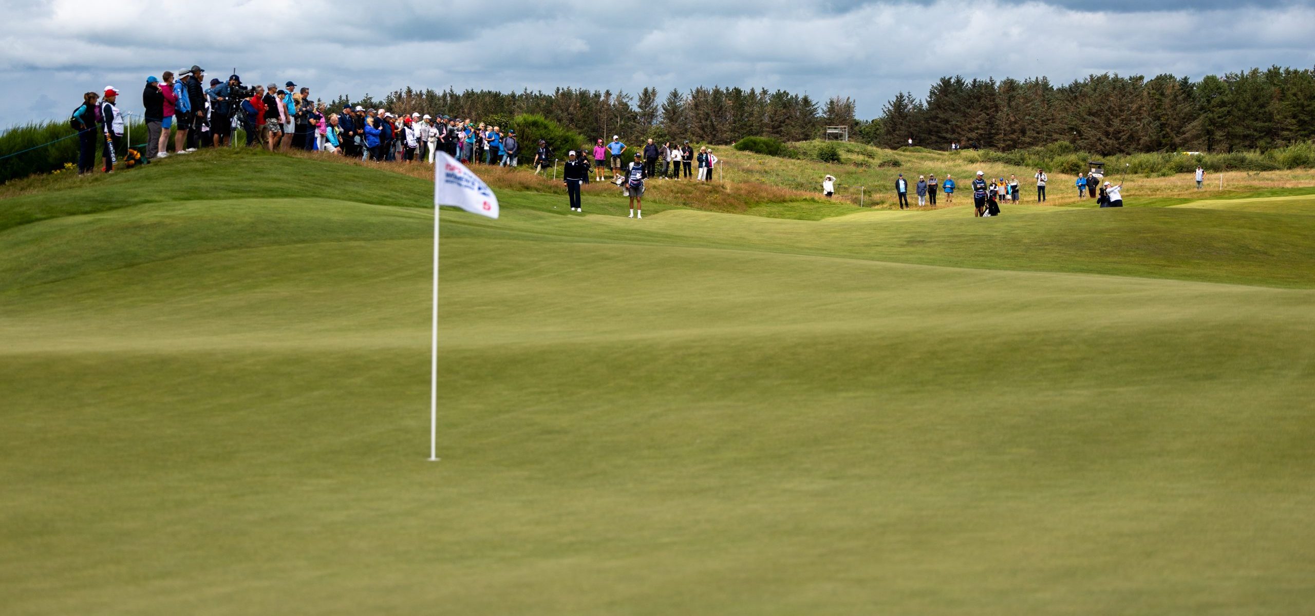 The Course